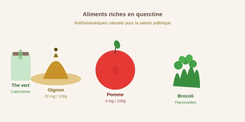 Oignon, pomme, brocoli et thé vert, sources naturelles de quercétine pour soulager les allergies au pollen